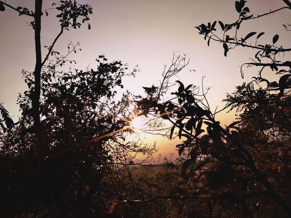 Photo of Thrilled, Chilled and Enthralled at Anantagiri Hills! by Nymisha Reddy