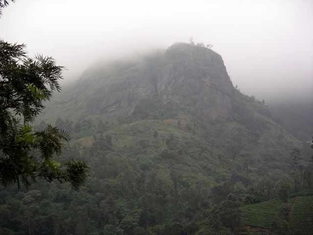 Photo of A Trip to Munnar –The Queen of Hill Stations in India & Top Reasons why You Should Visit this Kerala by Nymisha Reddy