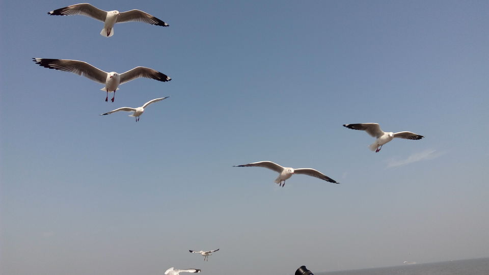 Photo of Destination : Alibaug by sanchihumane