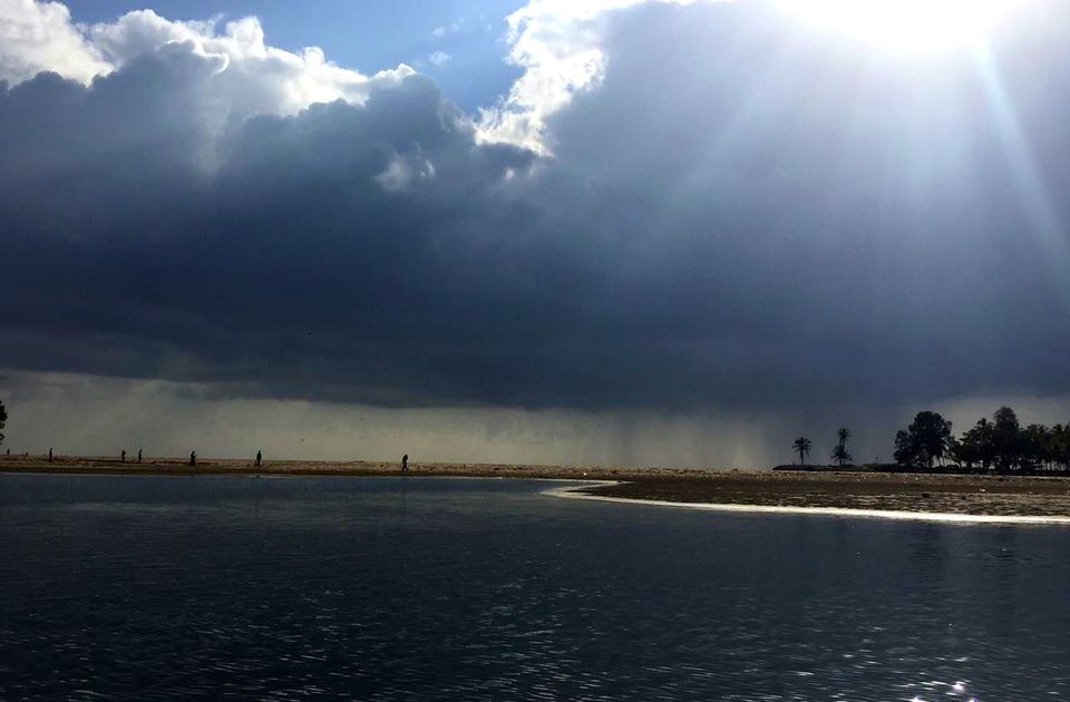 Photo of Sunshine,Pooches n Beaches by Sal