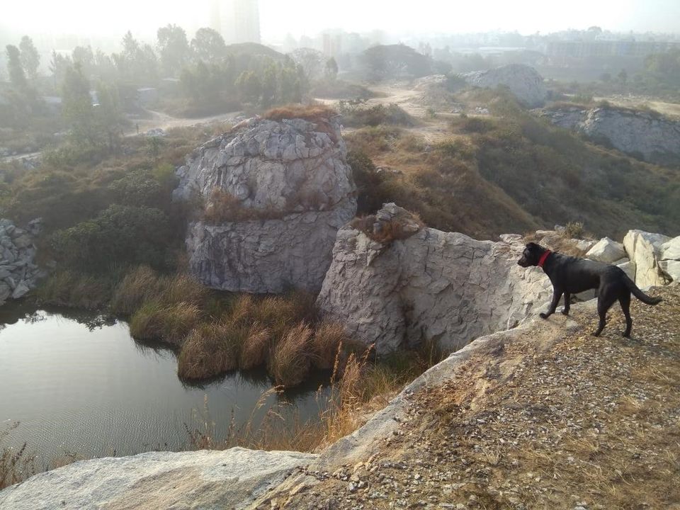 Photo of Adventures of Abacus – The furry-feet traveler #travelwithpets 8/19 by SalSafarnama