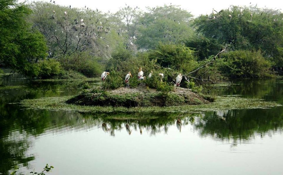 Photo of 5 Serene Places To Visit In Kumarakom 1/5 by Kristin Perry
