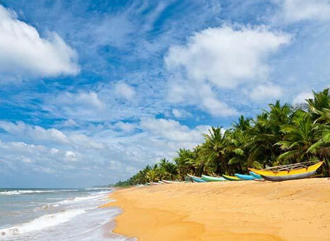 Photo of 5 Serene Places To Visit In Kumarakom 4/5 by Kristin Perry
