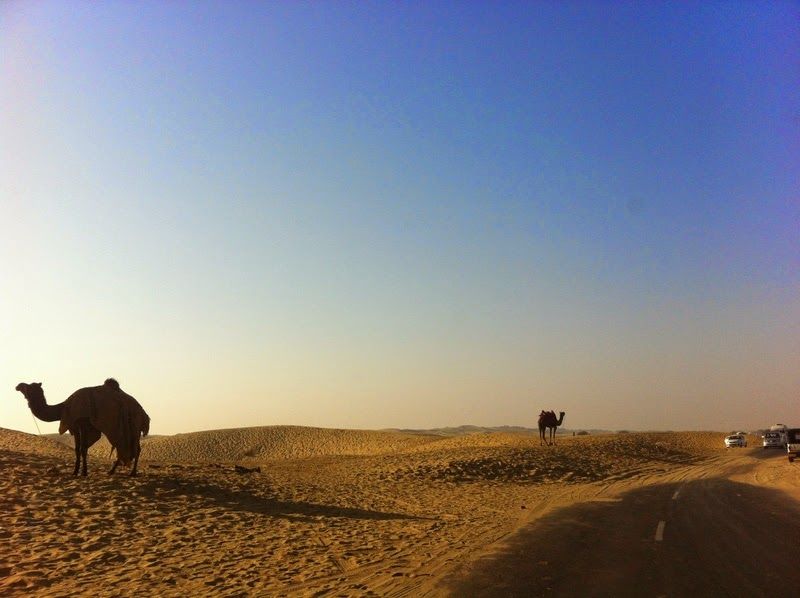 Photo of Top 5 Places to Visit in Bikaner 5/5 by Kristin Perry