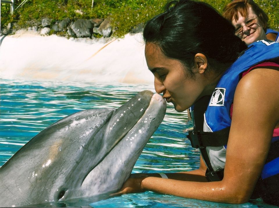 Photo of Sea Life Park Hawaii, Kalanianaole Highway, Waimanalo Beach, HI, United States by Arushi Dutt