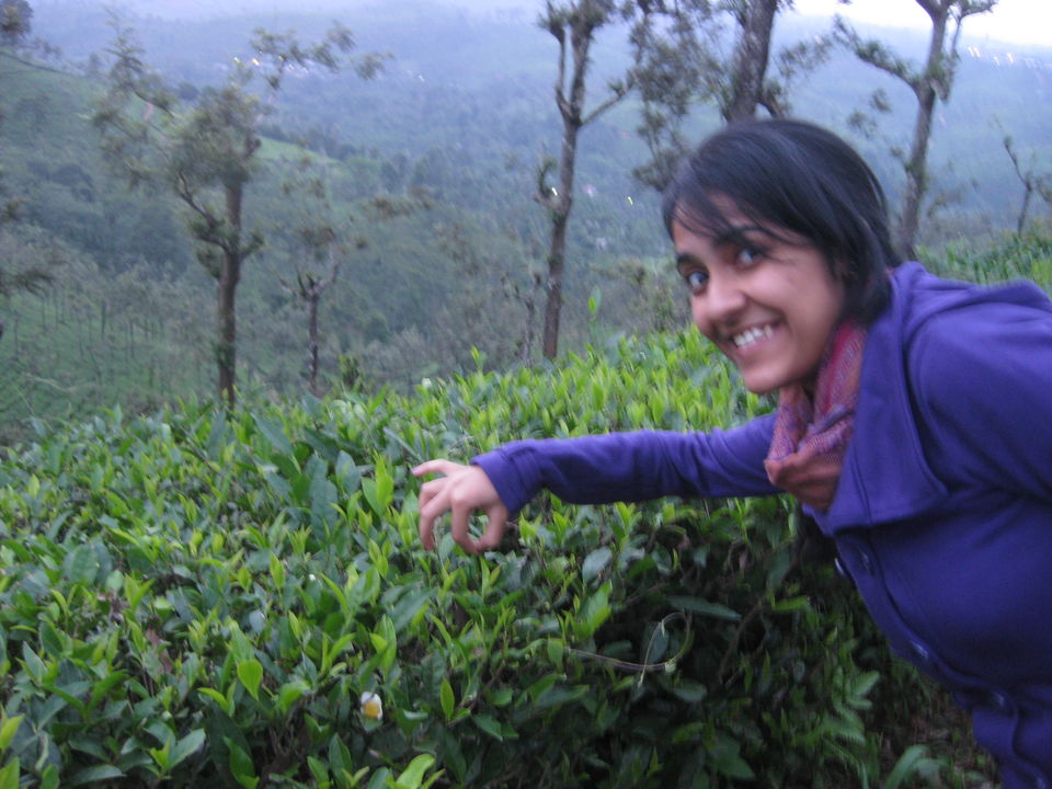 Photo of TANTEA, Coonoor, Nilgiris, Tamil Nadu, India by Arushi Dutt