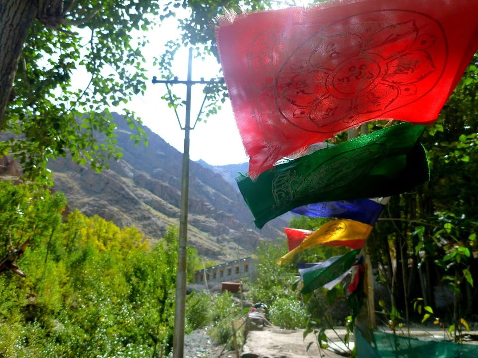 Photo of Thikse Monastery, Leh by rysha hamza
