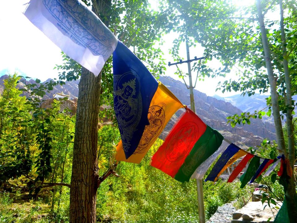 Photo of Thikse Monastery, Leh by rysha hamza