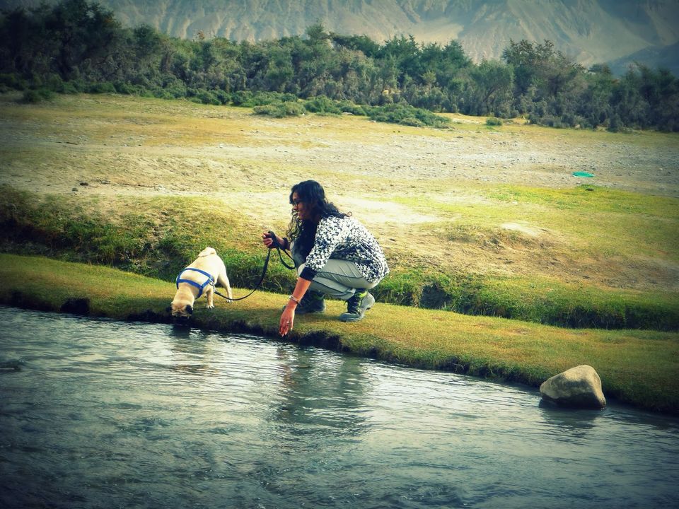 Photo of A Roadtrip to Ladakh - Part 3 by rysha hamza