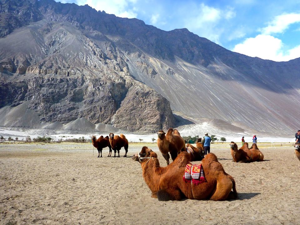Photo of A Roadtrip to Ladakh - Part 3 by rysha hamza