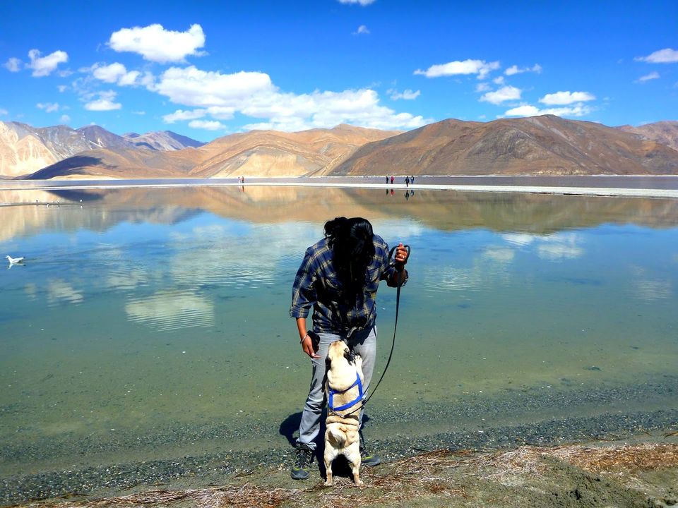Photo of Tagste, Leh by rysha hamza
