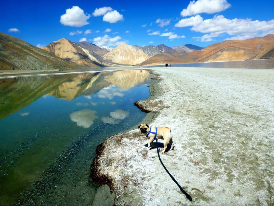Photo of Tagste, Leh by rysha hamza