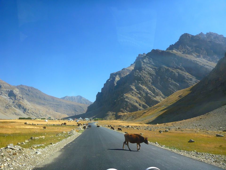 Photo of Zoji La by rysha hamza