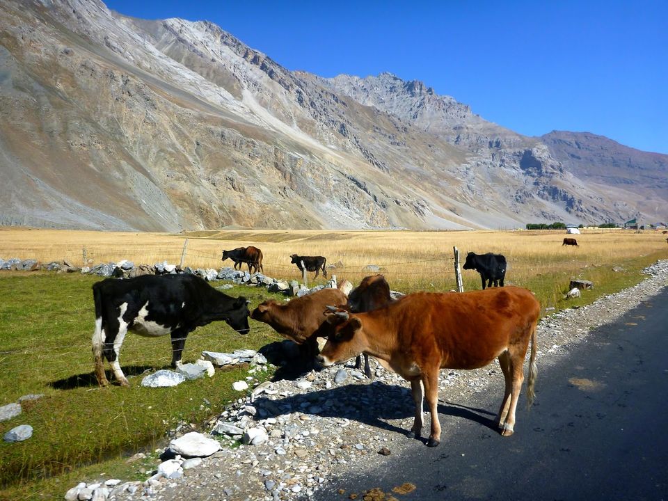 Photo of Zoji La by rysha hamza