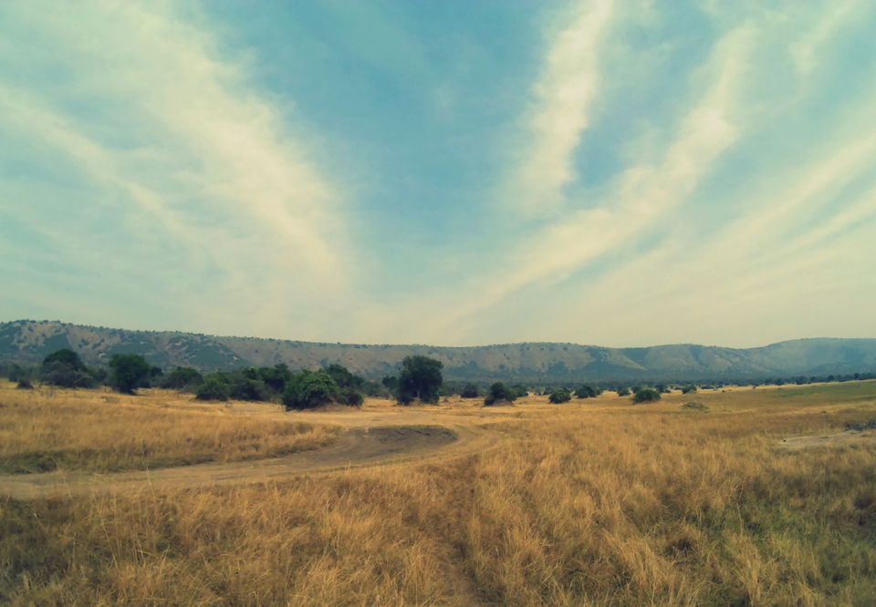 Photo of Rwanda - A Story of Resurrection by rysha hamza