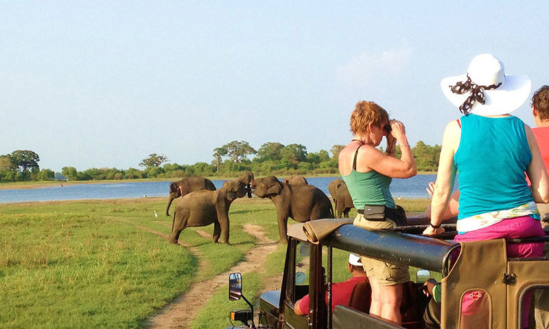 Photo of Travel Safe on your Sri Lanka Family Holiday 1/2 by Jane Liam
