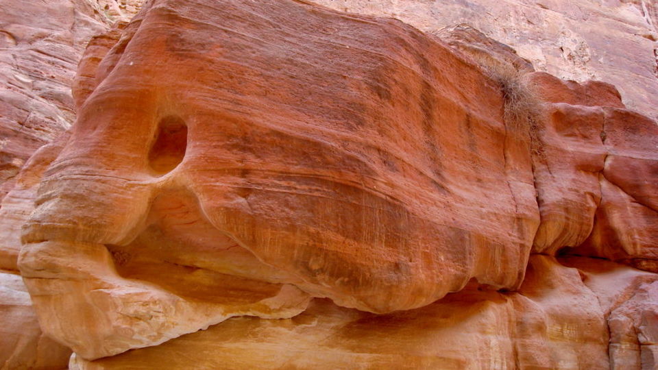 Photo of Jordan a country of Wonders! Not just one of the 7 Wonders of the World but many more! by Chandani Agarwal