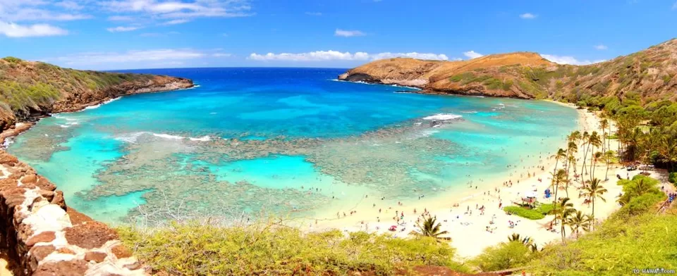 Photo of Hanauma Bay, Honolulu County, HI, United States by Chandani Agarwal