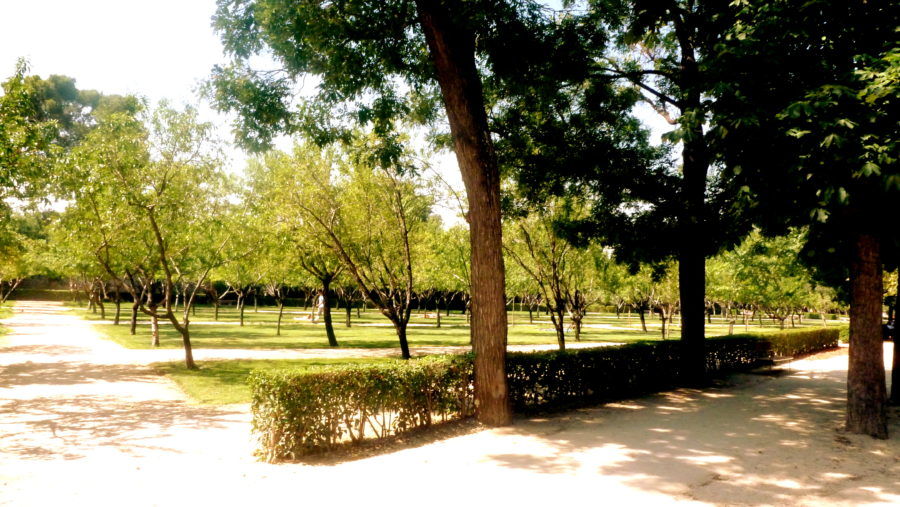 Photo of Hola Madrid: Until we meet again! 10/12 by Chandani Agarwal