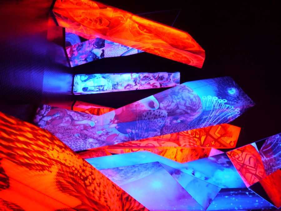 Photo of All that glitters is not always gold here but SWAROVSKI : Innsbruck 11/11 by Chandani Agarwal