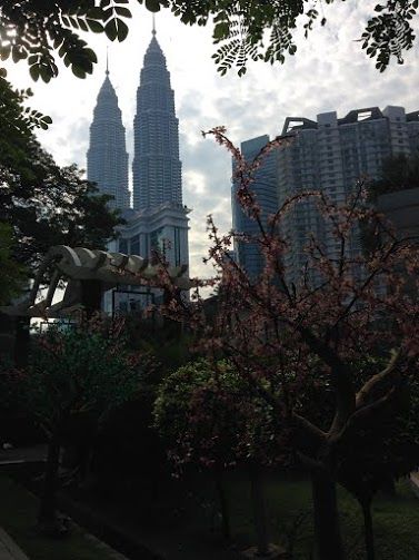 Photo of Malaysian snippets 51/53 by Sneha Reddy