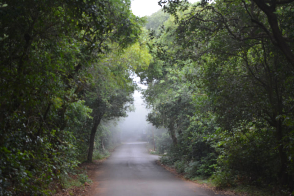 Photo of The "Ethereal" beauty – Panchgani and Mahabaleshwar 8/24 by Sneha Reddy
