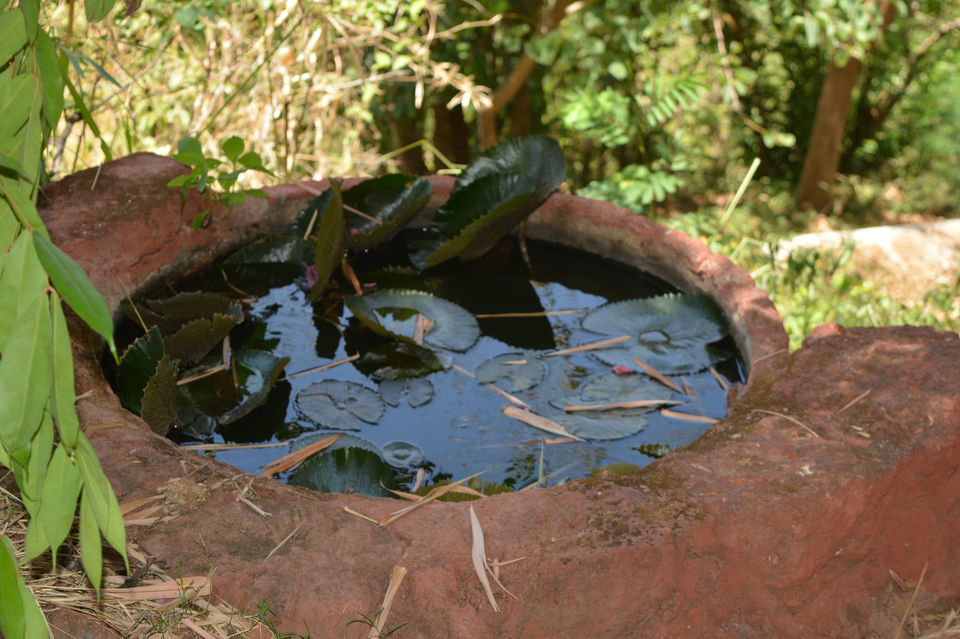 Photo of The "Ethereal" beauty – Panchgani and Mahabaleshwar 15/24 by Sneha Reddy