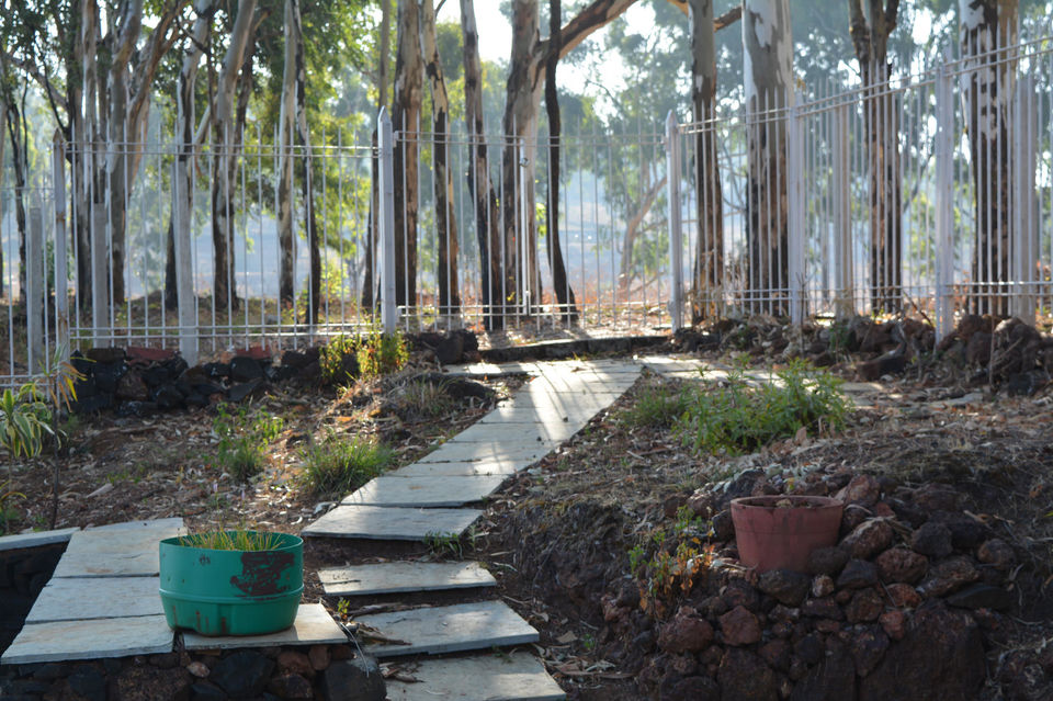 Photo of The "Ethereal" beauty – Panchgani and Mahabaleshwar 21/24 by Sneha Reddy