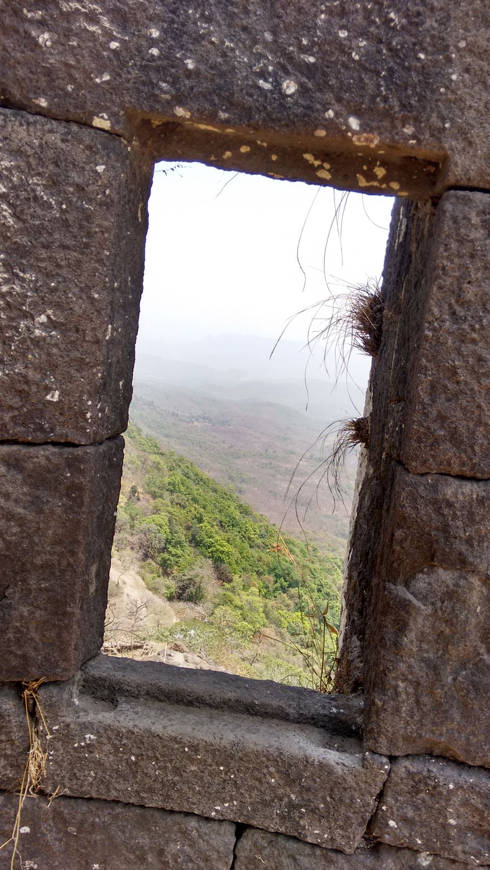 Photo of A Taxing trek - Karnala Fort 1/1 by Sneha Reddy