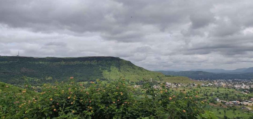 Photo of Kaas Plateau of Flowers, Maharashtra by Vikash Nayak
