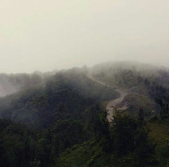 Photo of Tumbling-West Bengal #TripotoTakeMeToDeoriatal by Shivangi Varshney