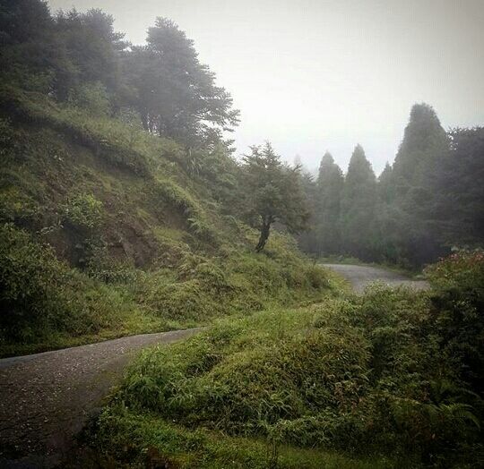 Photo of Tumbling-West Bengal #TripotoTakeMeToDeoriatal by Shivangi Varshney