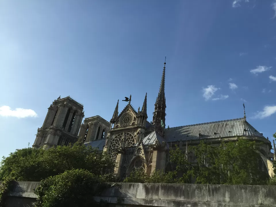 Photo of Cathédrale Notre-Dame de Paris, Parvis Notre-Dame - place Jean-Paul-II, Paris, France by Manas Mukul