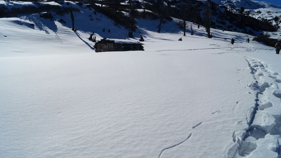 Photo of Untouched Beauty of Kedarkantha Winter Trek by dhaval patel
