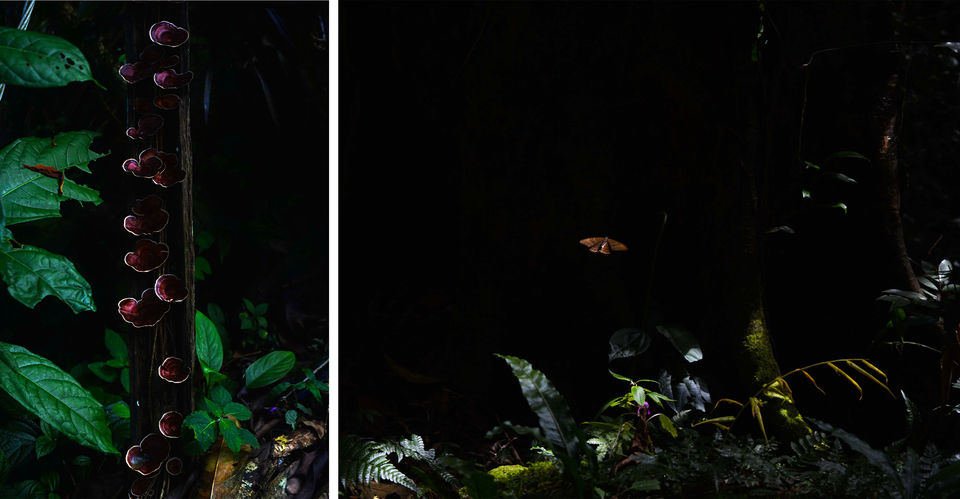 Photo of Postcards from Meghalaya 11/32 by Abinaya Kalyanasundaram