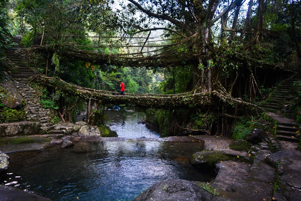 Photo of Postcards from Meghalaya 17/32 by Abinaya Kalyanasundaram