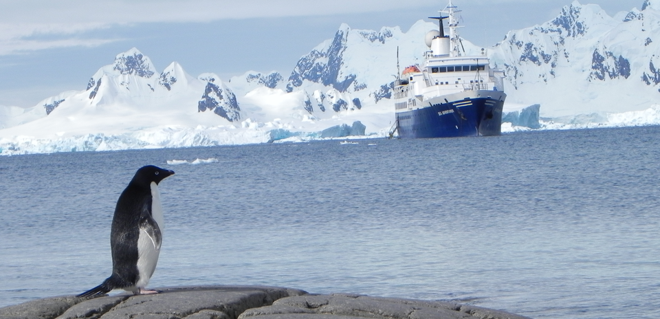Photo of Bransfield Strait, Antarctica by Prasanna Vee