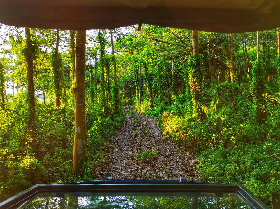 Photo of Chitwan National Park, Sauraha Entry Station, Ratnanagar, Nepal by Prasanna Vee