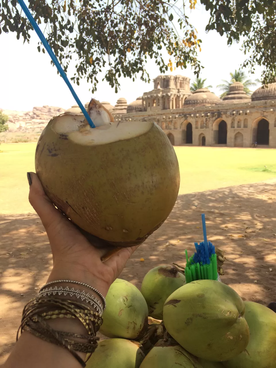 Photo of Elephant Stable, Hampi, Karnataka, India by Sharmila Singhal