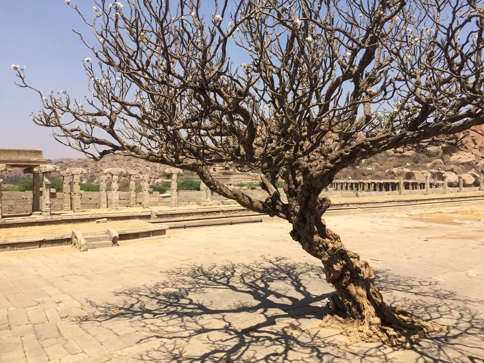 Photo of Vitthala Temple, Hampi, Karnataka, India by Sharmila Singhal