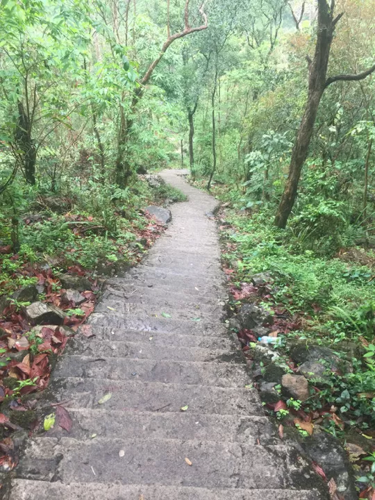 Photo of Stairway To Heaven by Pallavi jain