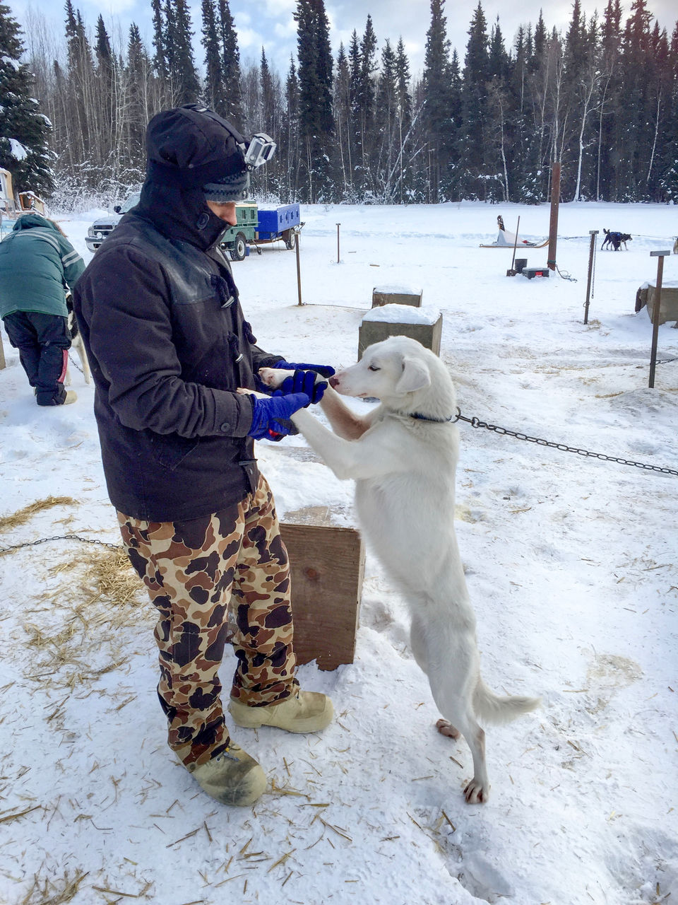 Photo of 6 Things to do in Fairbanks, Alaska in Winters by Naman Kumar