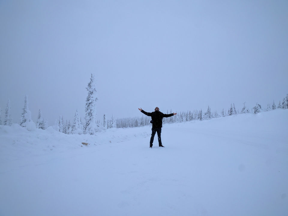 Photo of 6 Things to do in Fairbanks, Alaska in Winters by Naman Kumar