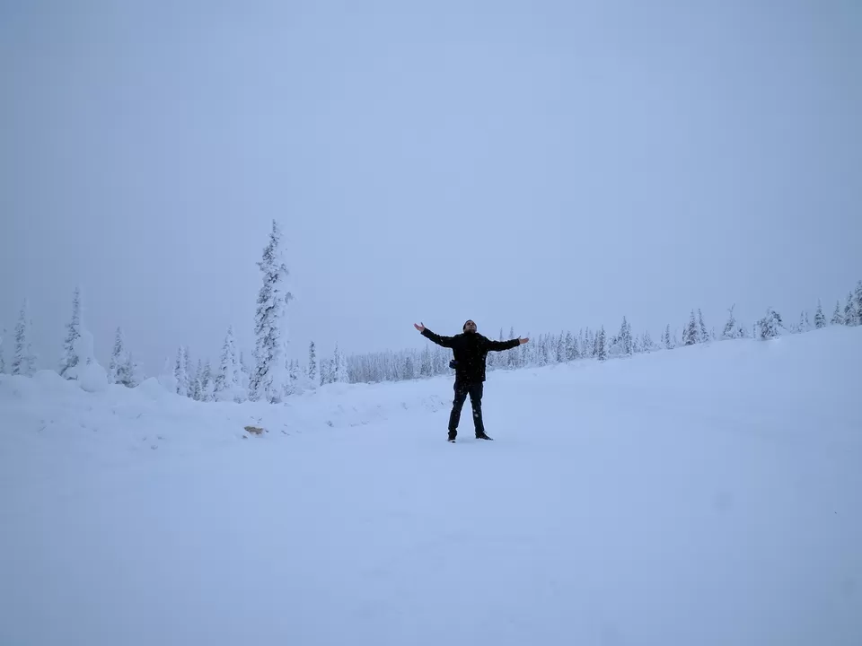 Photo of 6 Things to do in Fairbanks, Alaska in Winters by Naman Kumar