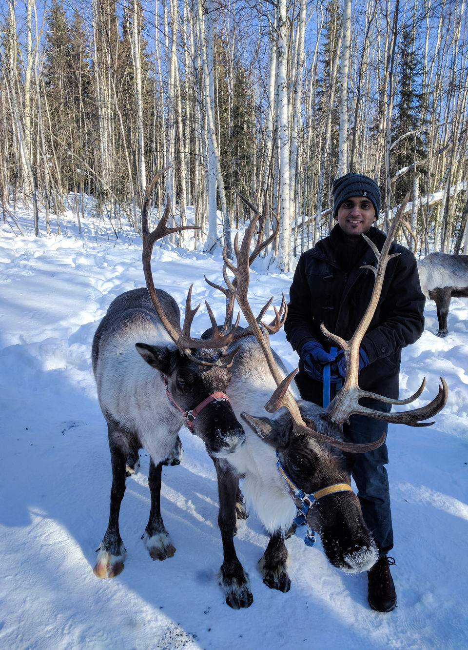 Photo of 6 Things to do in Fairbanks, Alaska in Winters by Naman Kumar