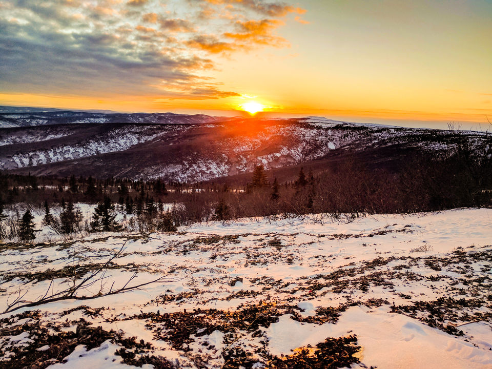 Photo of 6 Things to do in Fairbanks, Alaska in Winters by Naman Kumar