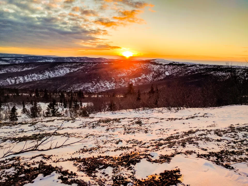 Photo of 6 Things to do in Fairbanks, Alaska in Winters by Naman Kumar