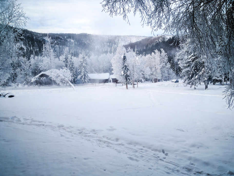 Photo of 6 Things to do in Fairbanks, Alaska in Winters 3/7 by Naman Kumar