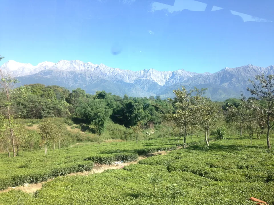 Photo of Dhauladar Range HP, Druni Dhar, Himachal Pradesh, India by Sonam Singh