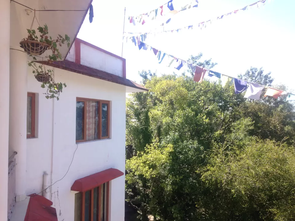 Photo of Chokling Restaurant, Paragliding Landing Site Road, Bir Colony, Chaugan, Himachal Pradesh, India by Sonam Singh